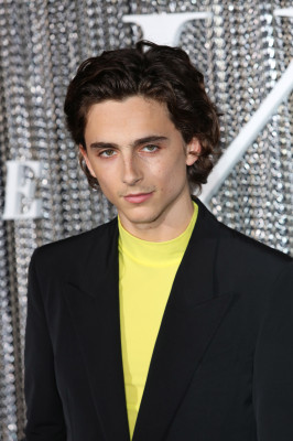 Timothee Chalamet pic #1308621