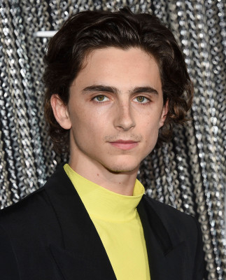 Timothee Chalamet pic #1308618