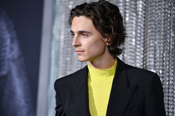 Timothee Chalamet pic #1308615