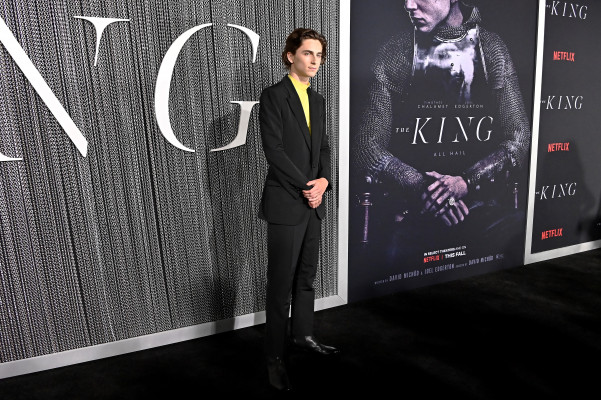 Timothee Chalamet pic #1308614