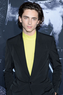 Timothee Chalamet pic #1308616