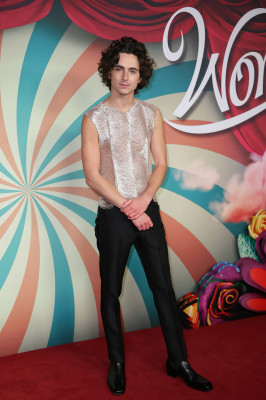 Timothee Chalamet pic #1339890