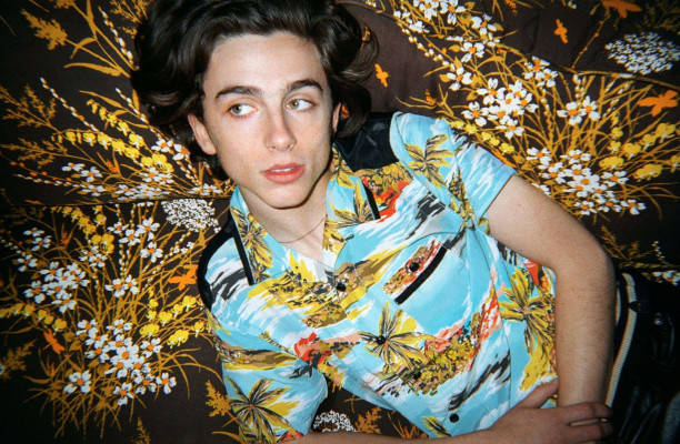 Timothee Chalamet pic #1009879