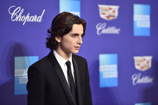 Timothee Chalamet pic #1298642