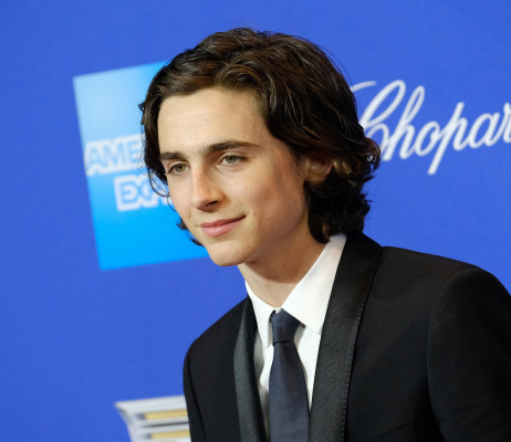 Timothee Chalamet pic #1298645