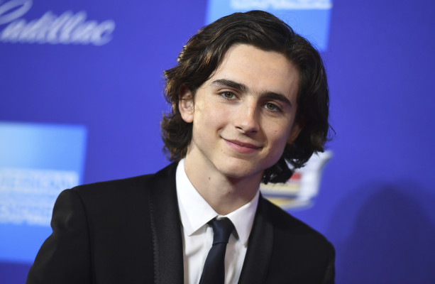 Timothee Chalamet pic #1298649