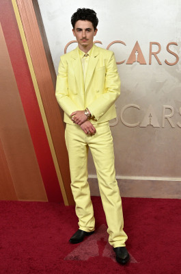 Timothee Chalamet pic #1369998