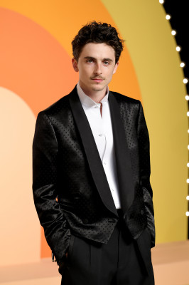 photo 27 in Chalamet gallery [id1370124] 2025-04-19 00:00:00