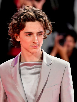 Timothee Chalamet pic #1274423