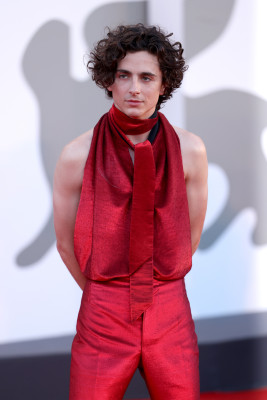 Timothee Chalamet pic #1310420