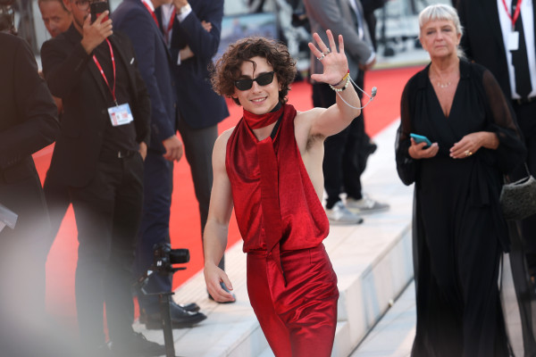 Timothee Chalamet pic #1310415