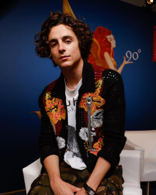 Timothee Chalamet pic #1311457