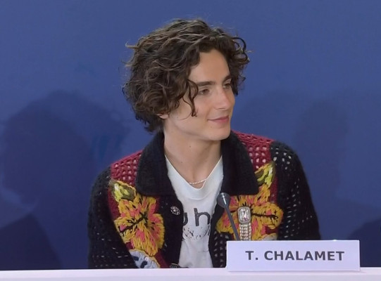 Timothee Chalamet pic #1311769
