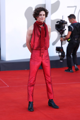 Timothee Chalamet pic #1317392