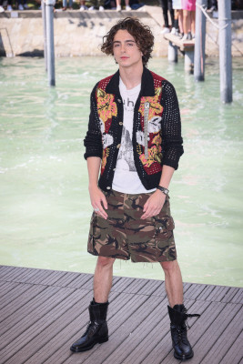 Timothee Chalamet pic #1310397