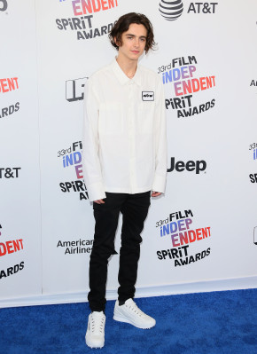 photo 22 in Chalamet gallery [id1326192] 2023-04-18 00:00:00