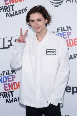 Timothee Chalamet pic #1304125