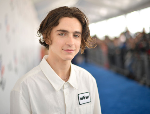 Timothee Chalamet pic #1304120