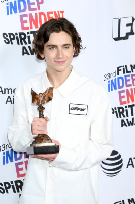 Timothee Chalamet pic #1326193