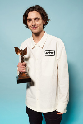 Timothee Chalamet pic #1303426