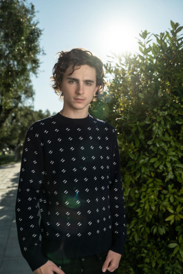 Timothee Chalamet pic #1319559