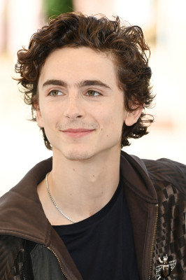 Timothee Chalamet pic #1273688