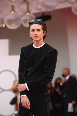 Timothee Chalamet pic #1267633