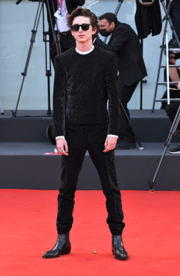 Timothee Chalamet pic #1267630