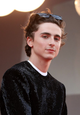 Timothee Chalamet pic #1271192