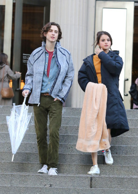Timothee Chalamet pic #1273453