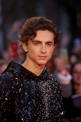 Timothee Chalamet pic #1272512
