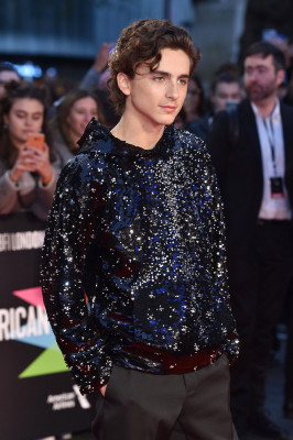photo 8 in Timothee Chalamet gallery [id1360034] 2024-11-08 00:00:00