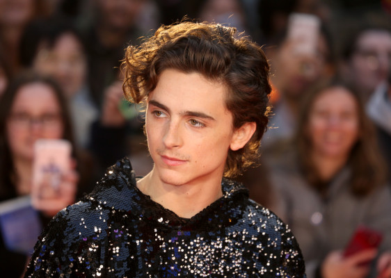 Timothee Chalamet pic #1272592