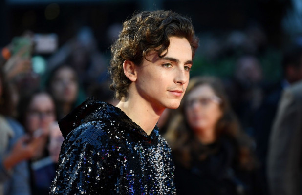 Timothee Chalamet pic #1272511