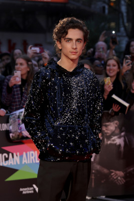 Timothee Chalamet pic #1272600