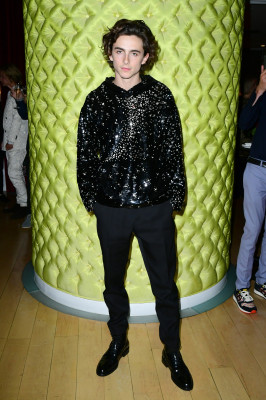 Timothee Chalamet pic #1272516