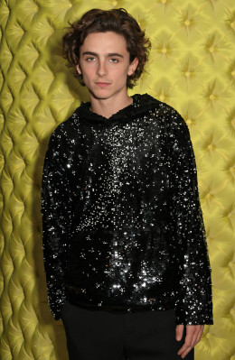 Timothee Chalamet pic #1272514
