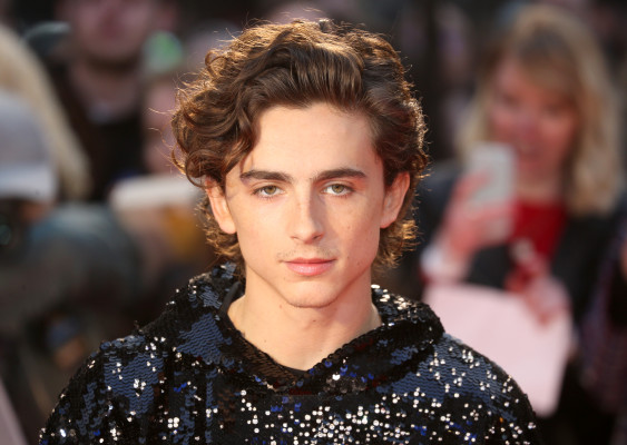 photo 20 in Timothee gallery [id1272735] 2021-10-08 00:00:00