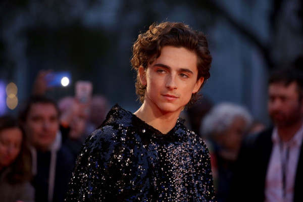 Timothee Chalamet pic #1272508