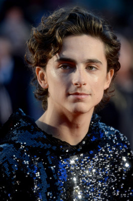 Timothee Chalamet pic #1272605