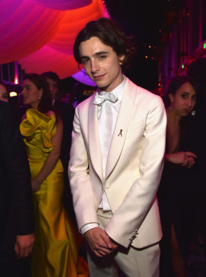 Timothee Chalamet pic #1324123