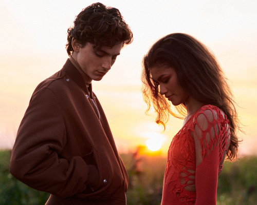 Timothee Chalamet pic #1274620