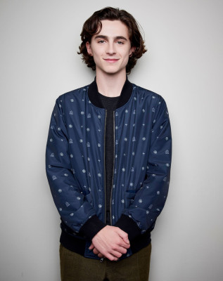 Timothee Chalamet pic #1278891