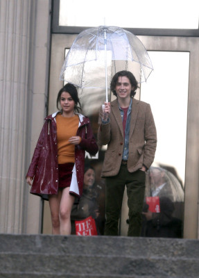 Timothee Chalamet pic #1294172