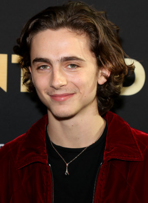 Timothee Chalamet pic #1326590
