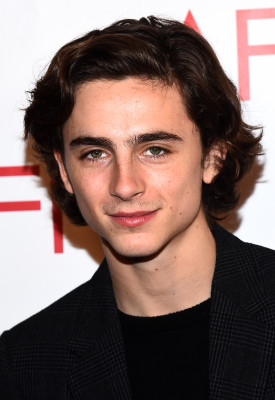 Timothee Chalamet pic #1305931
