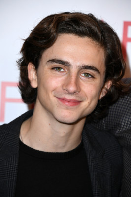 Timothee Chalamet pic #1305929