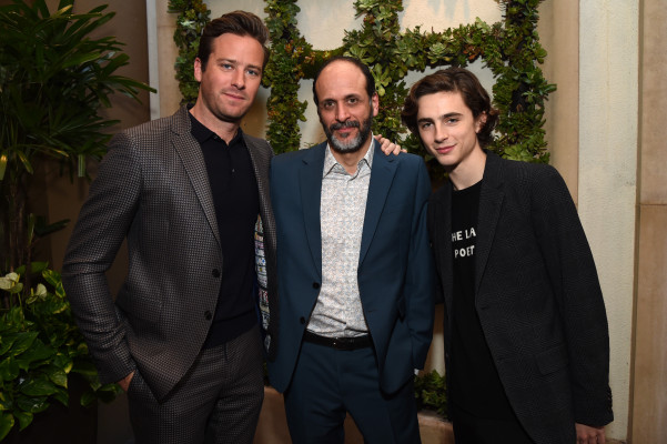 Timothee Chalamet pic #1305933