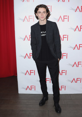 Timothee Chalamet pic #1305935