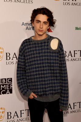Timothee Chalamet pic #1321134